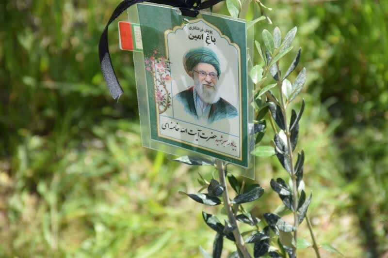 نهال‌کاری 160 هکتاری در سواحل غرب مازندران