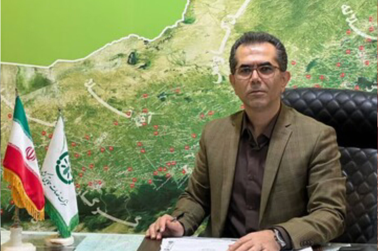 22 هزار و 500 هکتار از مزارع گلستان زیر کشت پنبه رفت