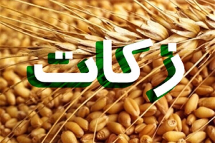 کازرونی: زکات انسان را از وابستگی به مال آزاد می‌کند