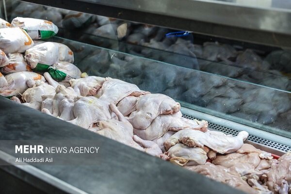 883 تن مرغ مازاد مازندران با قرارداد حمایتی خریداری می‌شود