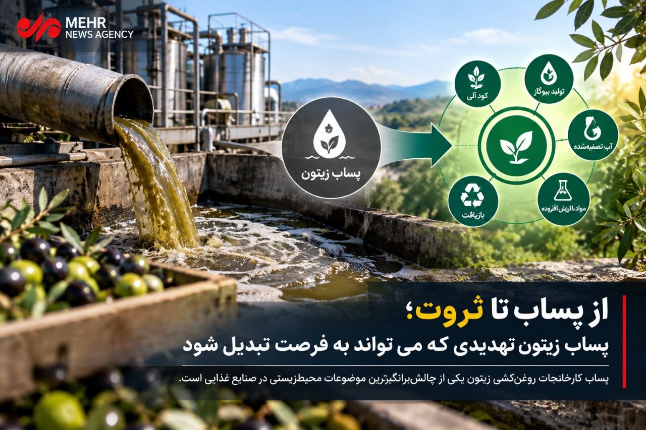 پساب زیتون؛ تهدید زیست‌ محیطی یا فرصتی برای خلق ثروت؟