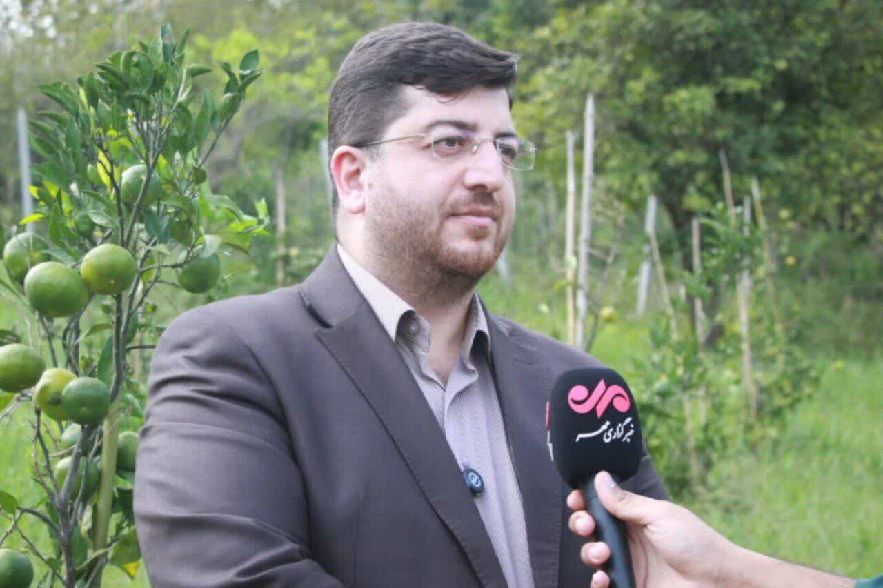 موقوفات لاهیجان در مسیر درآمدزایی پایدار؛ باغ مرکبات به بار نشست
