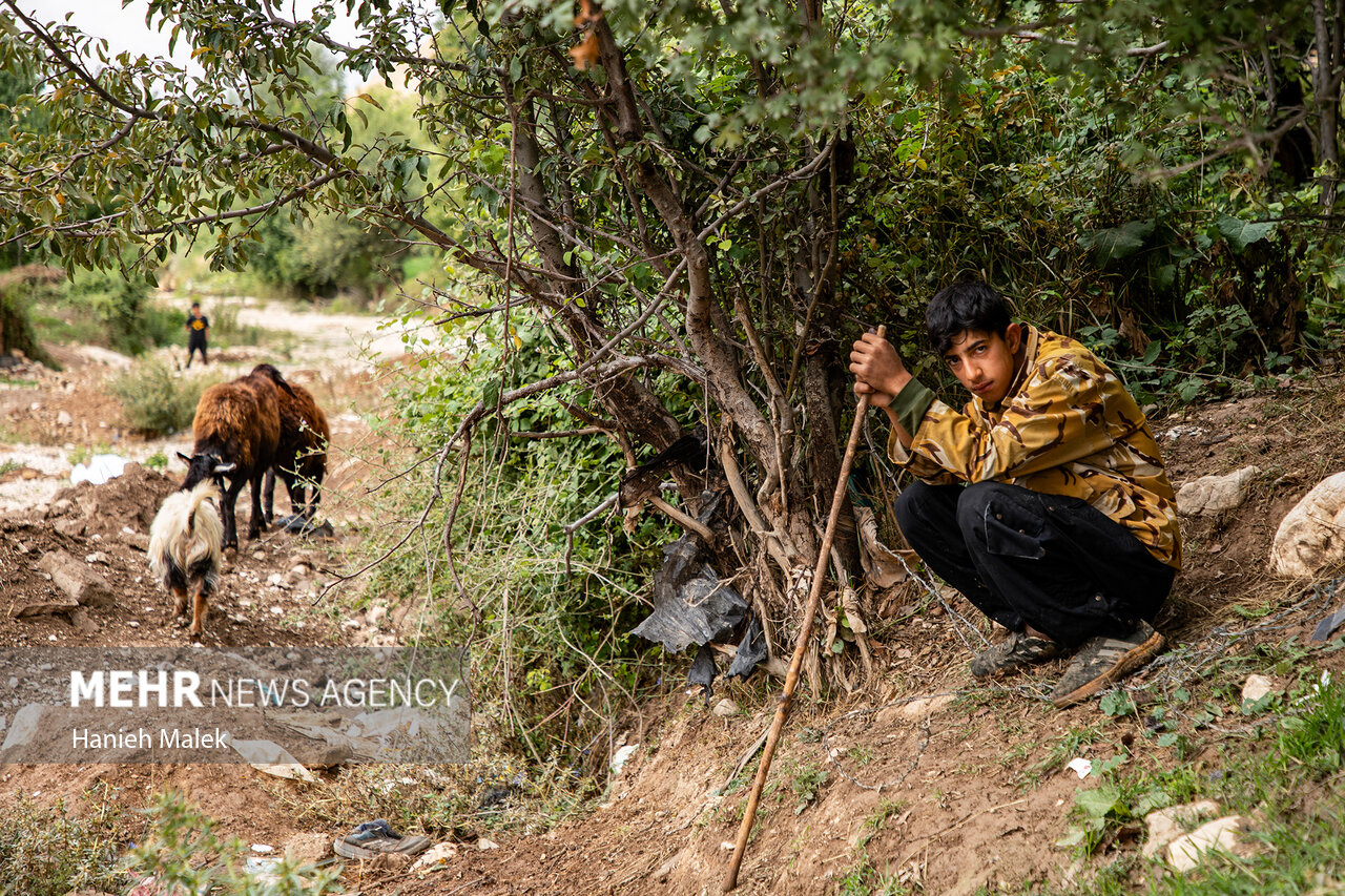 روستای نراب در انتظار توسعه