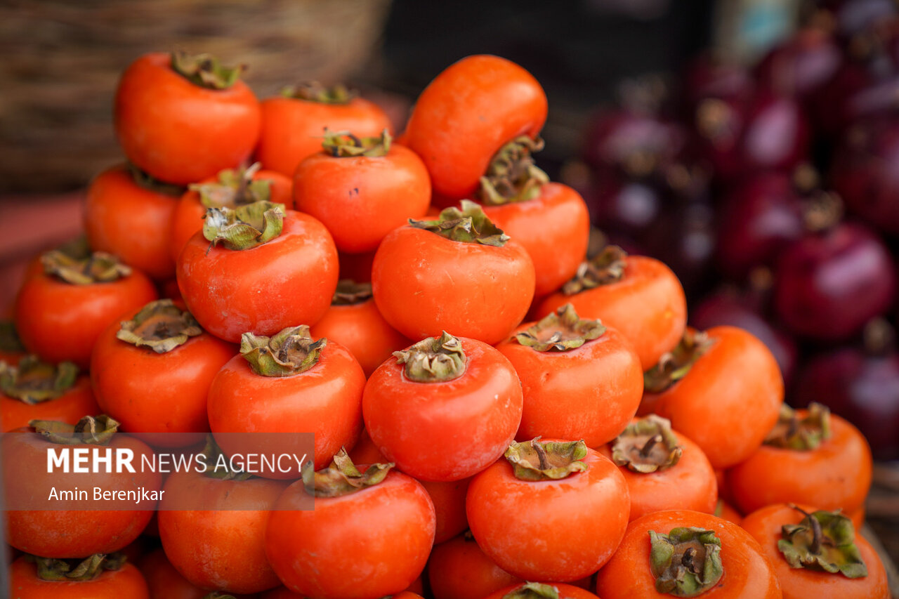 اینفوگرافیک؛ پیش بینی برداشت بیش از 2 هزار تن خرمالو در گیلان