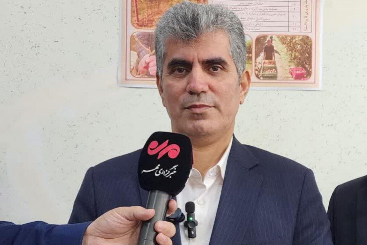 صادرات کیوی گیلان از مرز 27 هزار تُن گذشت